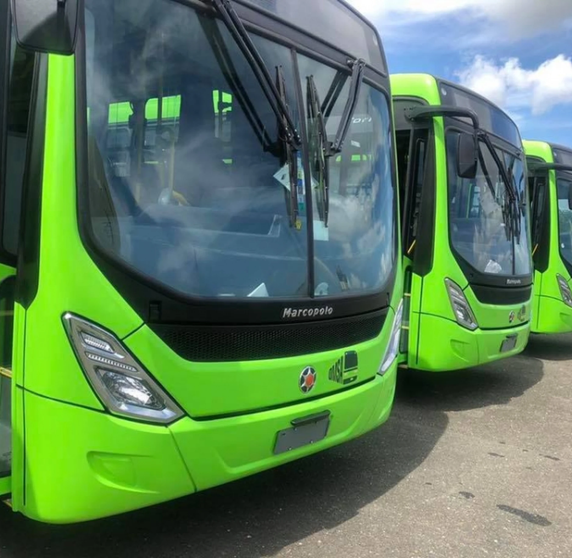 corredor pink digiworld 2